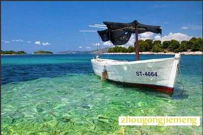 �μ��� ��ֻ