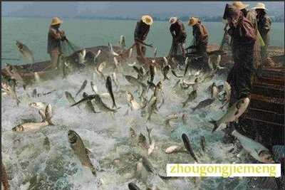 �μ�����