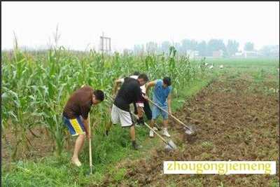 �μ����� �ֵ�