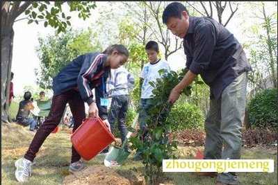 �μ�����