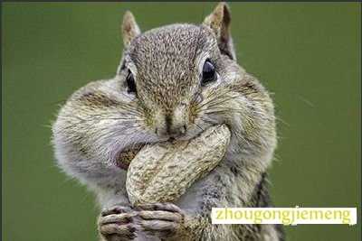 �μ��Ի���