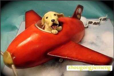�μ����ɻ�