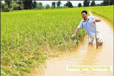 �μ�ˮ�� ��ˮ