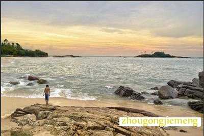 �μ�����