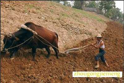 �μ�����