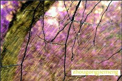 �μ�����