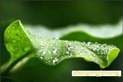 �μ���ͣ��