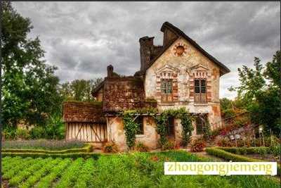 �μ�����