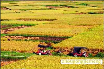 �μ�����