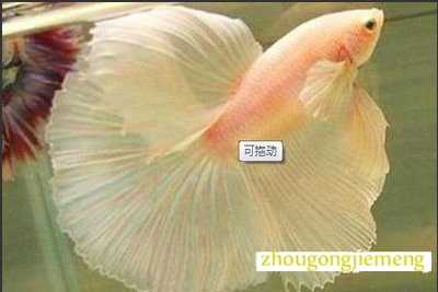 �μ�����