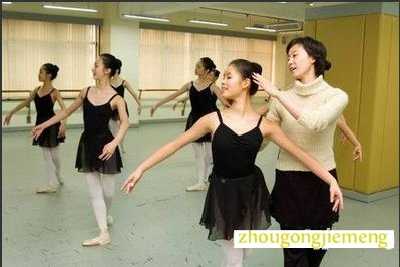 �μ�רҵ�赸��ʦ
