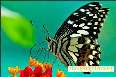 �μ�׷������