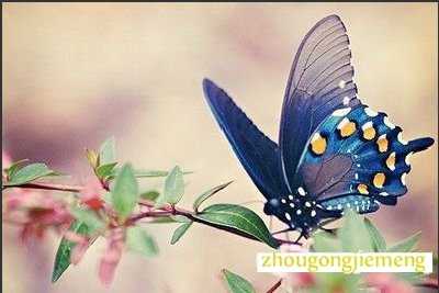 �μ���������ͷ��