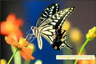 �μ������ڻ��������
