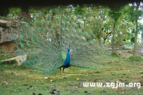 �μ���ȸ����