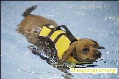 �μ�������Ӿ