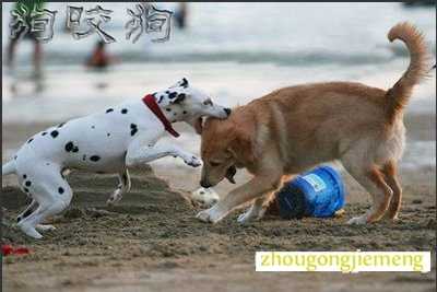 �μ������ ��ҧ��