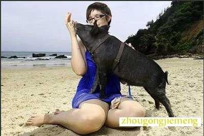 �μ����ӱ�����
