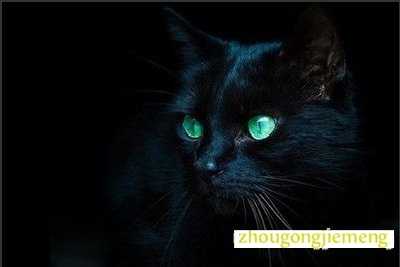 �μ�������Ѫ�ĺ�è