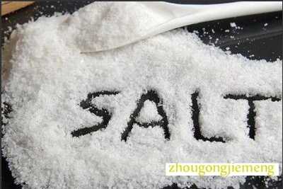 �μ��� ʳ��