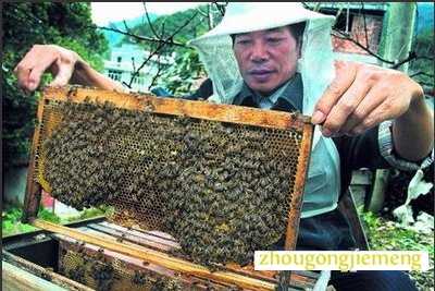 �μ�����