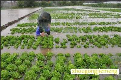 �μ���ر���