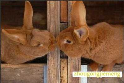 �μ����Լ�����
