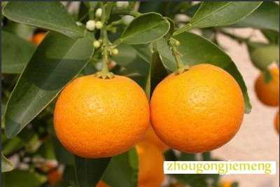 �μ��Ը���
