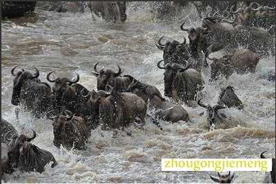 �μ��ɺ�