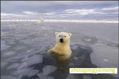 �μ������� ��ˮ��
