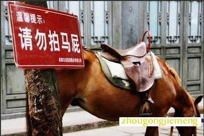 �μ�����ƨ