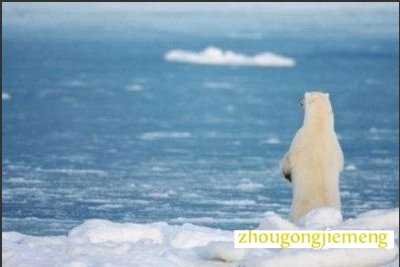 �μ����ܻ���