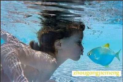 �μ�İ������Ļ���