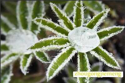 �μ�˪��
