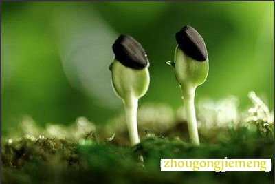 �μ������� �¶���