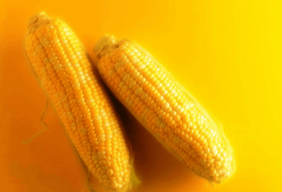 �μ���Ƶ�����