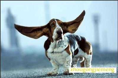 �μ�����